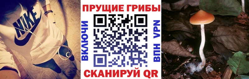 Галлюциногенные грибы GOLDEN TEACHER  Пыть-Ях 